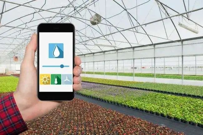 统筹协同发展数字农业