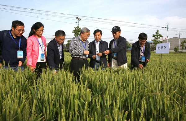 筑牢农业发展“耕”基