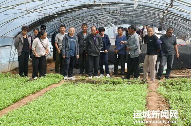 闻喜县举办2025年现代农业科技试验示范蔬菜基地种植、生产技